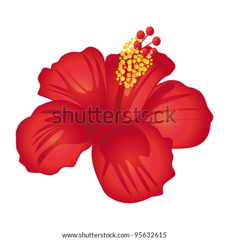 Beautiful Red Hibiscus Flower. Vector Illustration. - 95632615 ...