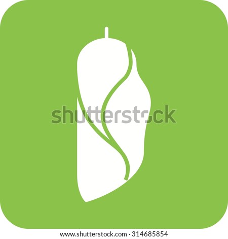 Cocoon, metamorphosis, insect icon vector image. Can also be used for Animals and Insects. Suitable for mobile apps, web apps and print media.