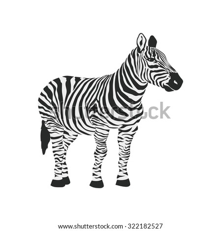 Zebra, animals, wild icon vector image. Can also be used for Animals and Insects. Suitable for mobile apps, web apps and print media.