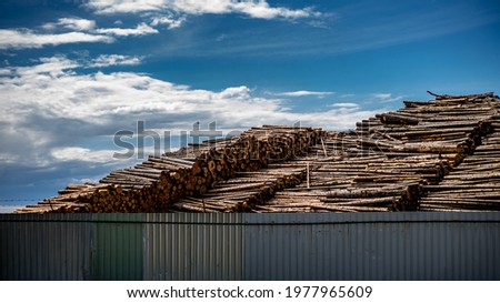 Similar – Foto Bild Holzvorrat hinter Bäumen