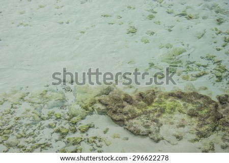 Natural  sea and reflections of water with coral reef and white sand at Maldives island.