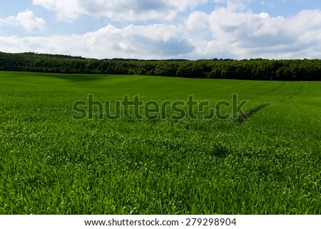 Green fields under the blue and cloudy sky.