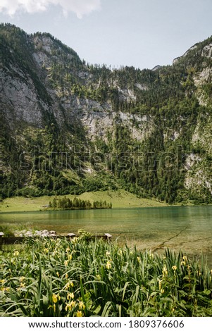 View of the top end of the Königssee, near Salet, in Bavaria, Germany Photo stock © 