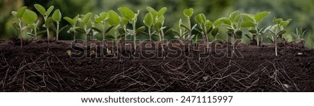 Similar – Image, Stock Photo Farm field is planted with agricultural plants. Watering the crop. Agro industry, agribusiness. Farming, european farmland. Traditional irrigation system. Growing and producing food. Rural countryside