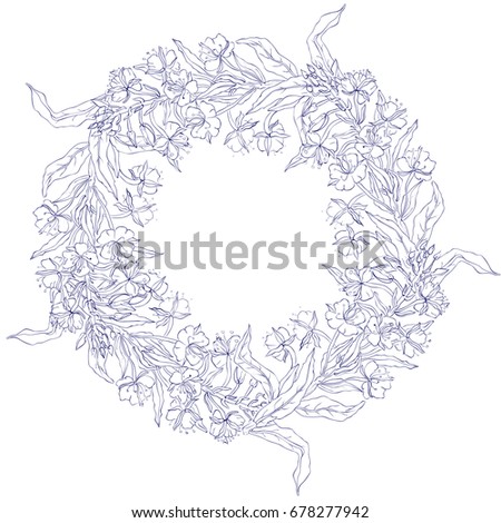 Willow herb, Chamerion angustifolium, fireweed, rosebay, Healing herb hand drawn sketch vector isolated on white, Round frame, wreath with space for text, for card, invitation, packaging tea, cosmetic