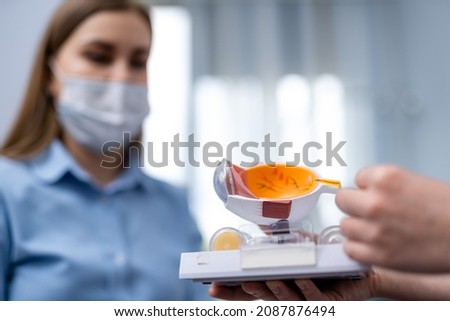 Ophthalmologist or surgeon holding an eye, eyeball prosthesis in hands. Concept photo for ocular prosthesis. Surgical operations on eyes. Closeup Stok fotoğraf © 