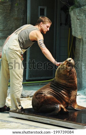 VIENNA, AUSTRIA - JULY 8, 2011: Zoo keeper takes care of a sea lion in captivity at Schonbrunn Zoo, the oldest zoo in the world.