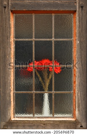 Red flowers behind matte window glass