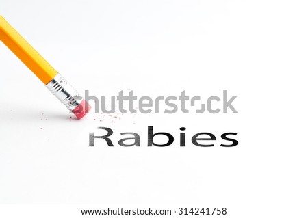 Closeup of pencil eraser and black rabies text. Rabies. Pencil with eraser.