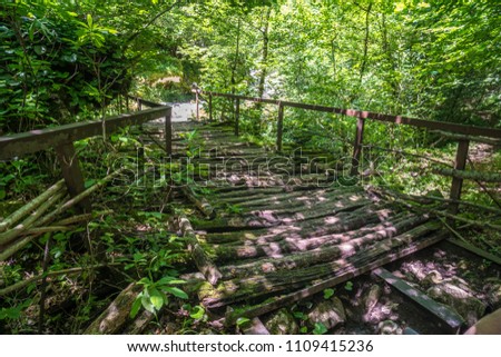 Similar – Image, Stock Photo Zeda-gordi, Georgia. View Of Paved Forest Path Leading To Canyon Okatse In Sunset Or Sunrise Time. Sun Sunshine With Natural Sunlight And Sun Rays Through Woods Trees. Beautiful Scenic View