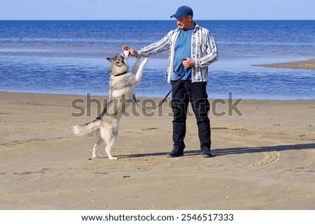 Similar – Image, Stock Photo Malamute dog standing on lake shore against water