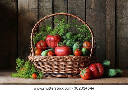 Basket with cucumbers and tomatoes. A still life with cucumbers, tomatoes and fennel. Vegetables in a basket.