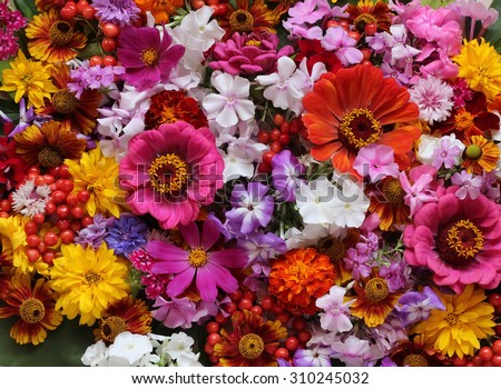 Flower background. A background from cultivated flowers and berries, the top view.