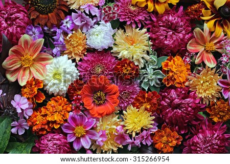 Flower background. A background from cultivated flowers and berries, the top view.