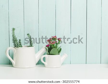 House plants on wooden background