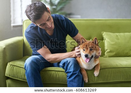 Similar – Image, Stock Photo Calm dog on green grass in countryside