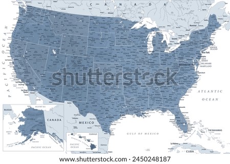 United States - Highly Detailed Vector Map of the USA. Ideally for the Print Posters. Grey Silver Monochrome Colors. Relief Topographic