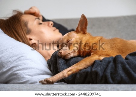 Similar – Image, Stock Photo relaxed with the dog from the walk back again