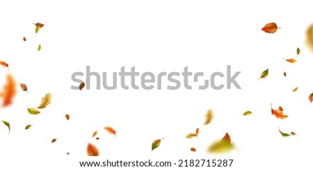 background of leaves fluttering in the wind vector illustration
