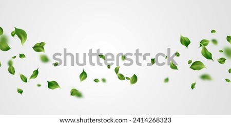 background of fluttering leaves Vector illustration