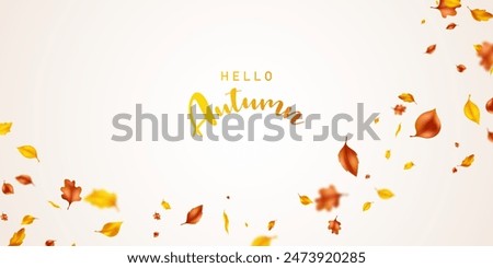 background of fluttering leaves Background for autumn Vector illustration