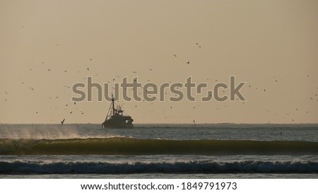 Similar – Image, Stock Photo Hazy beach Essaouira