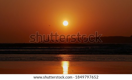 Similar – Image, Stock Photo Hazy beach Essaouira