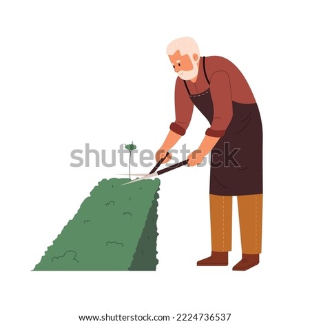 Elderly man gardener cutting bushes with big scissors. Old male character in apron landscaping  taking care of plants in yard. Gardening concept. Flat vector illustration isolated on white background