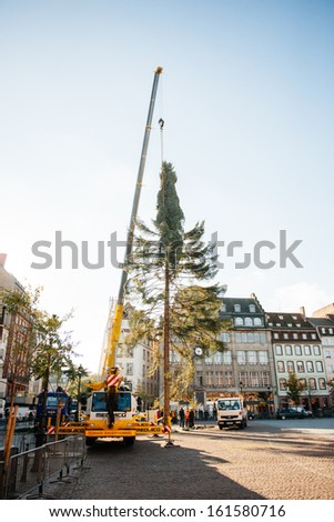 STRASBOURG, FRANCE - NOVEMBER 05: Installation of a giant Christmas tree by cranes on the Place Kleber in Strasbourg\'s center on November 5, 2013, as part of the city\'s Christmas decorations.