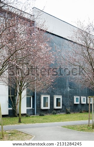University of Strasbourg Universite de Strasbourg old vintage building with Cherry sakura trees in bloom near the building Imagine de stoc © 