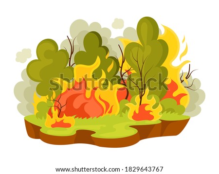 Natural disasters forest fires. Landscape burning forest fires with burning trees. Cataclysm, catastrophe, destruction of nature. Wood in flame, dry weather drought danger cartoon vector illustration