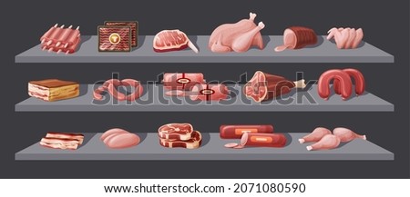 Different fresh meat on shelves at supermarket display. Commercial goods at grocery shop. Pork, beef, chicken, turkey, sausage, semi finished product. Retail fridge showcase with packaging vector flat