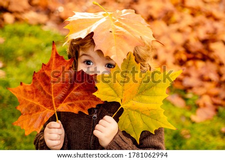 Child with autumn leaves as glasses in warm jacket in nature
