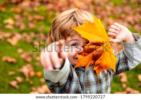 Autumnal mood. Little child boy in autumn orange leaves, outdoor