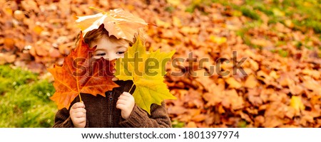 Kids play in autumn park. Children throwing yellow leaves. Child boy with oak and maple leaf. Fall foliage. Family outdoor fun in autumn. Toddler or preschooler in fall