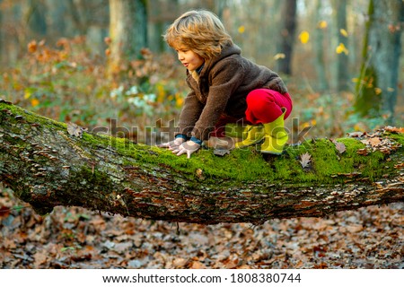 Image, Stock Photo Child playing with tree