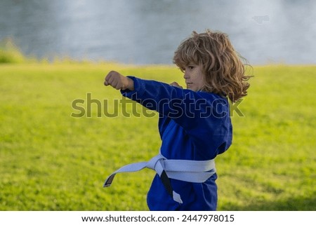 Similar – Image, Stock Photo Confident karate boy doing punch in studio