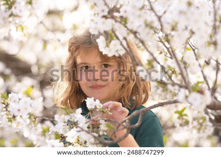 Similar – Image, Stock Photo Easter walk under blooming mirabelle plum blossoms