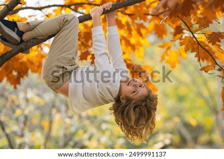 Similar – Image, Stock Photo Toddler in autumn outside in nature