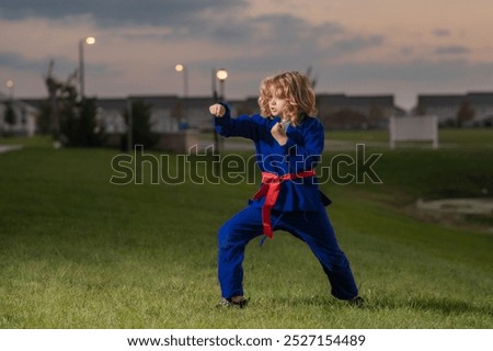 Similar – Image, Stock Photo Confident karate boy doing punch in studio