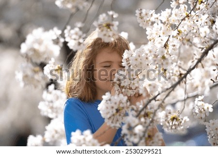 Similar – Image, Stock Photo Easter walk under blooming mirabelle plum blossoms