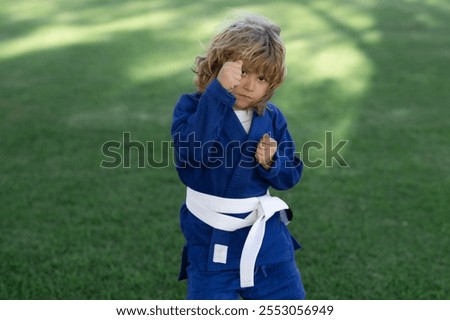 Similar – Image, Stock Photo Confident karate boy doing punch in studio