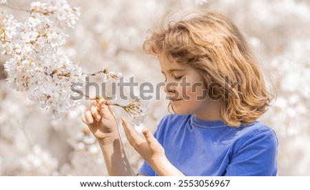 Similar – Image, Stock Photo Easter walk under blooming mirabelle plum blossoms