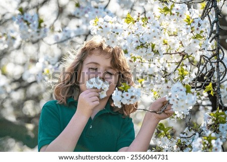 Similar – Image, Stock Photo Easter walk under blooming mirabelle plum blossoms