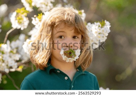 Similar – Image, Stock Photo Easter walk under blooming mirabelle plum blossoms