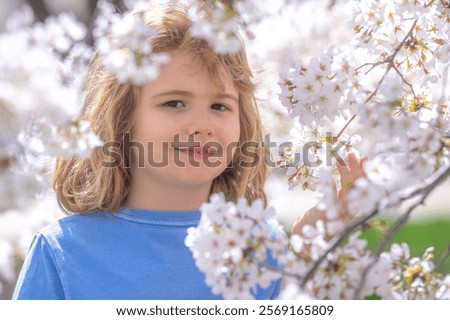 Similar – Image, Stock Photo Easter walk under blooming mirabelle plum blossoms