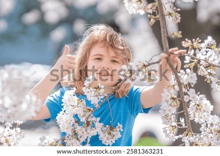 Similar – Image, Stock Photo Easter walk under blooming mirabelle plum blossoms