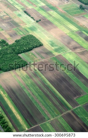 Beautiful abstract aerial view on green landscape with geometrical shaped vegetable gardens from flight of high altitude on natural rural background, vertical picture