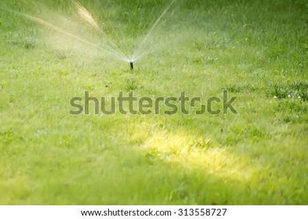Closeup of one mechanical automatic irrigation system sprayed cold water as fountain on fresh green grass sunny day outdoor on natural background copyspace, horizontal picture
