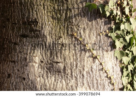 Similar – Image, Stock Photo The plane tree creeped a little in front of the dark clouds.